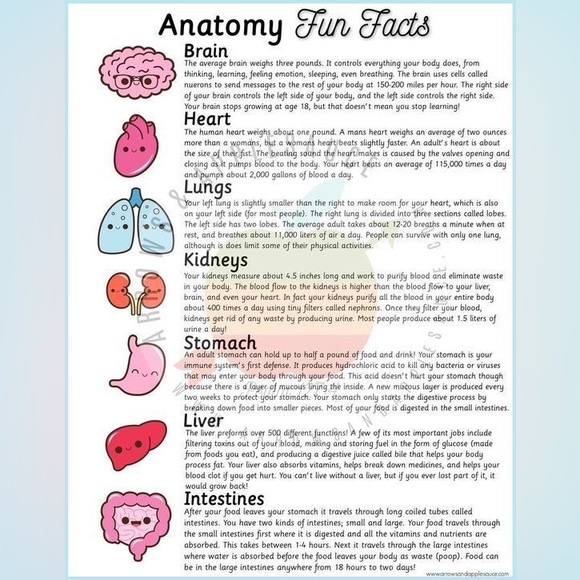 $2 NEW STAINLESS STEEL MEDICAL HEART STUD EARRINGS $2 WITH ANY ORDER OF $10 OR M - Picture 8 of 16